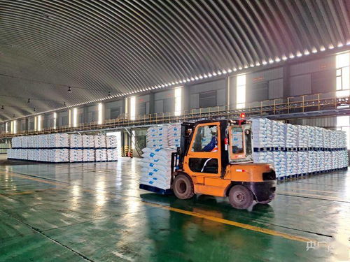 中越公鐵聯運國際貨運專列在西寧首發1200噸pvc出口越南