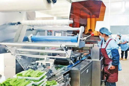 rcep已 就位 ,云南如何與之執(zhí)手共舞